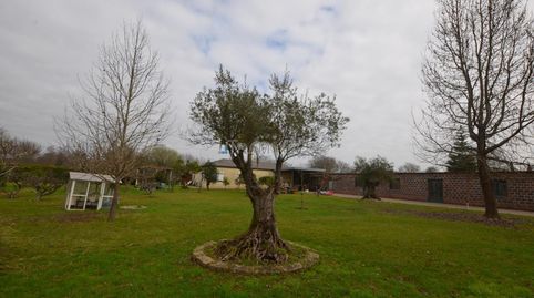 Immagine 5 dell'annuncio