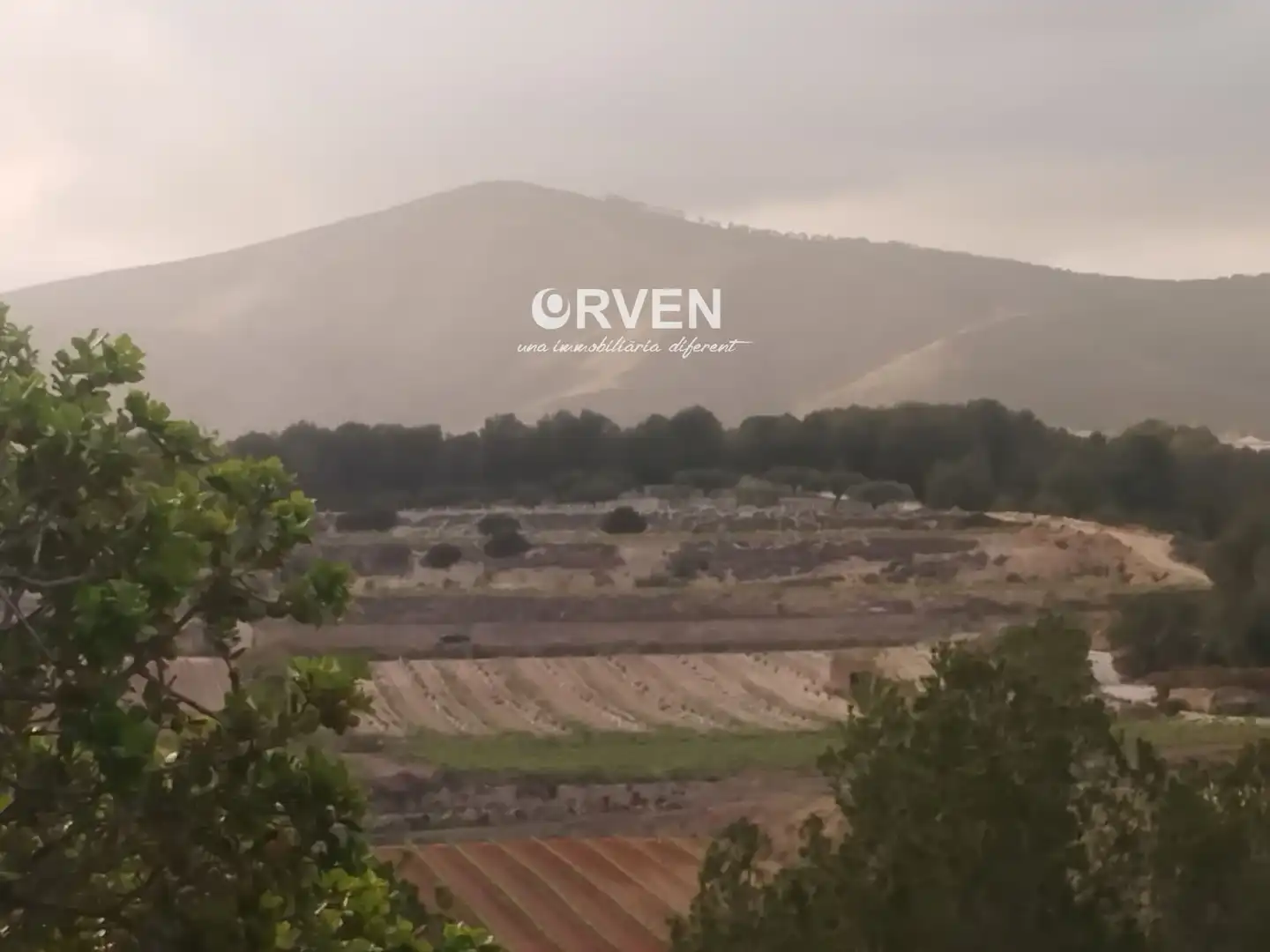 Rural land for sale in Carretera T-240 s/n, imagen 6