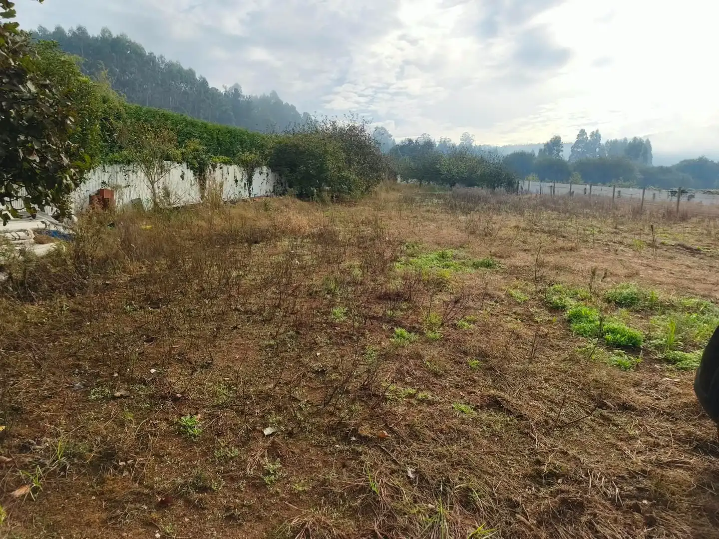 Wohnbaugrundstück zum Verkauf in Esteves 1, imagen 5