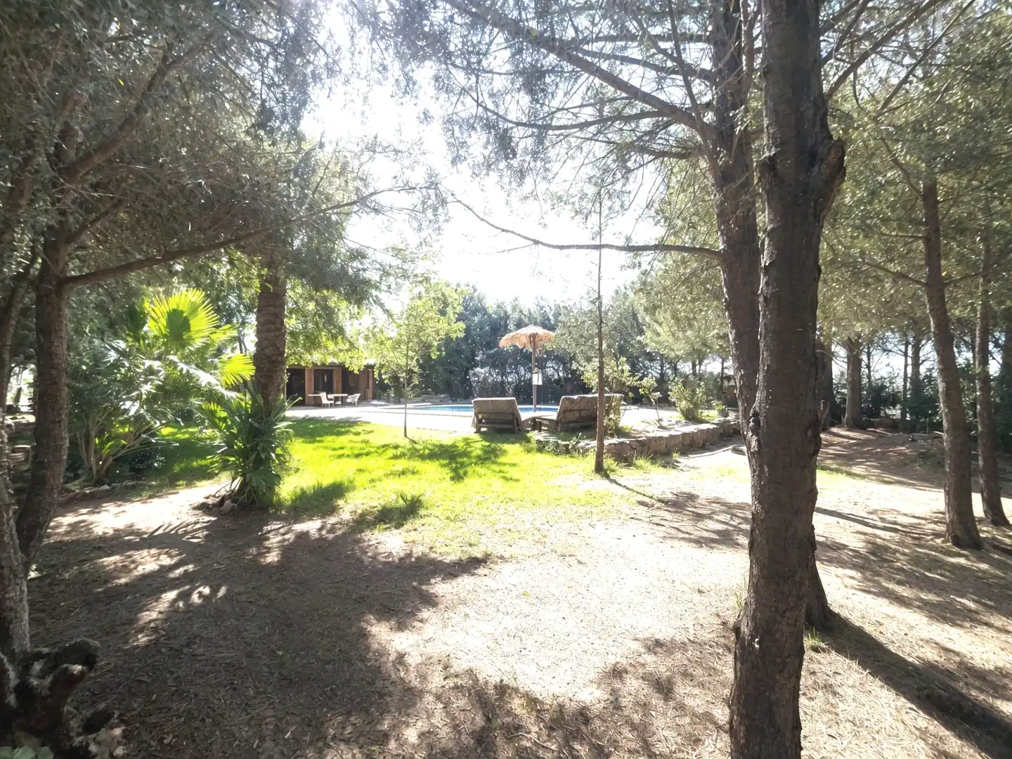 Jardí de Finca rústica en venda en Puebla de Sancho Pérez amb Aire condicionat, Jardí privat i Traster