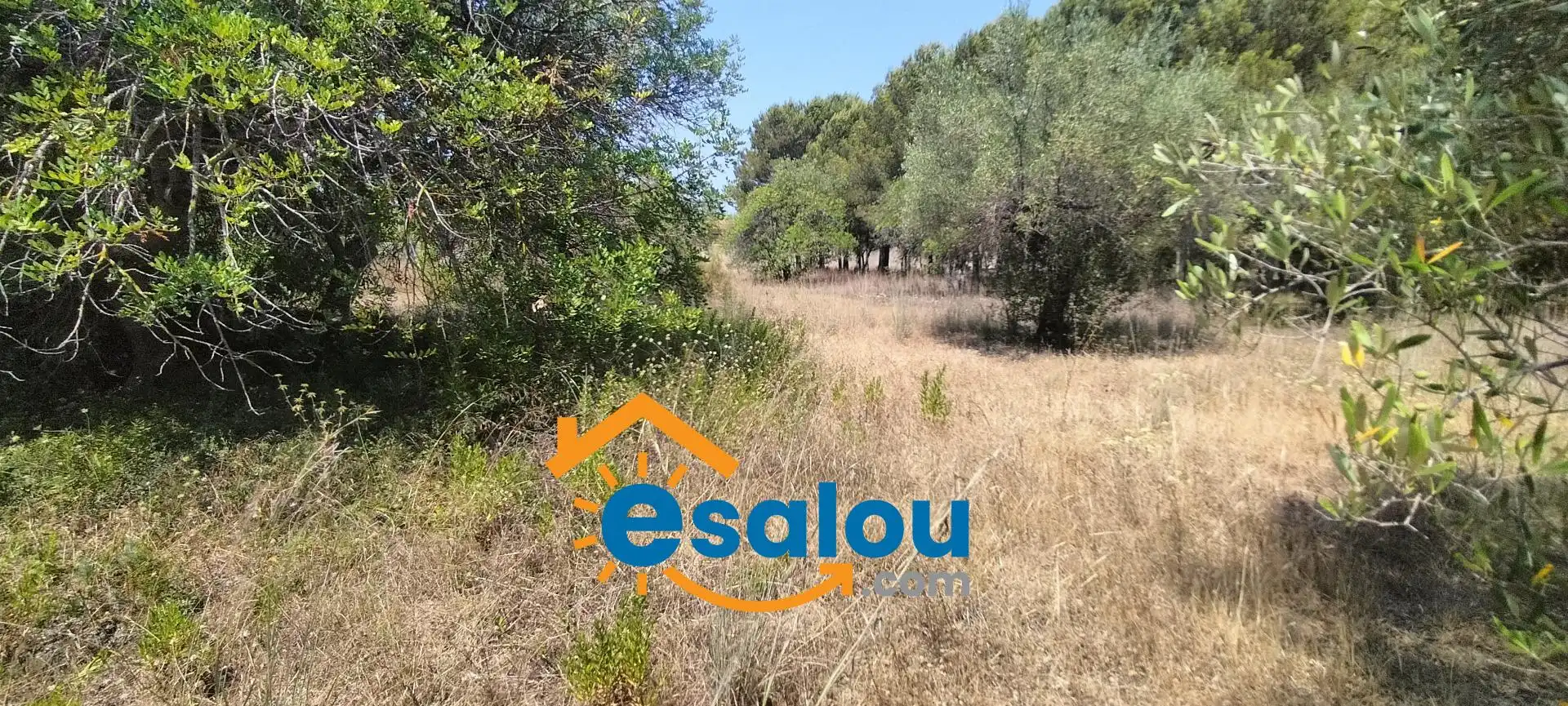Finca rústica en venta en Mont-roig del Camp con Terraza y Amueblado