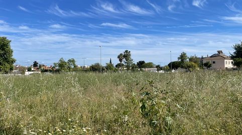 Photo 4 of Residential for sale in Calle Mar de Alborán, 6, Montealto, Jerez de la Frontera