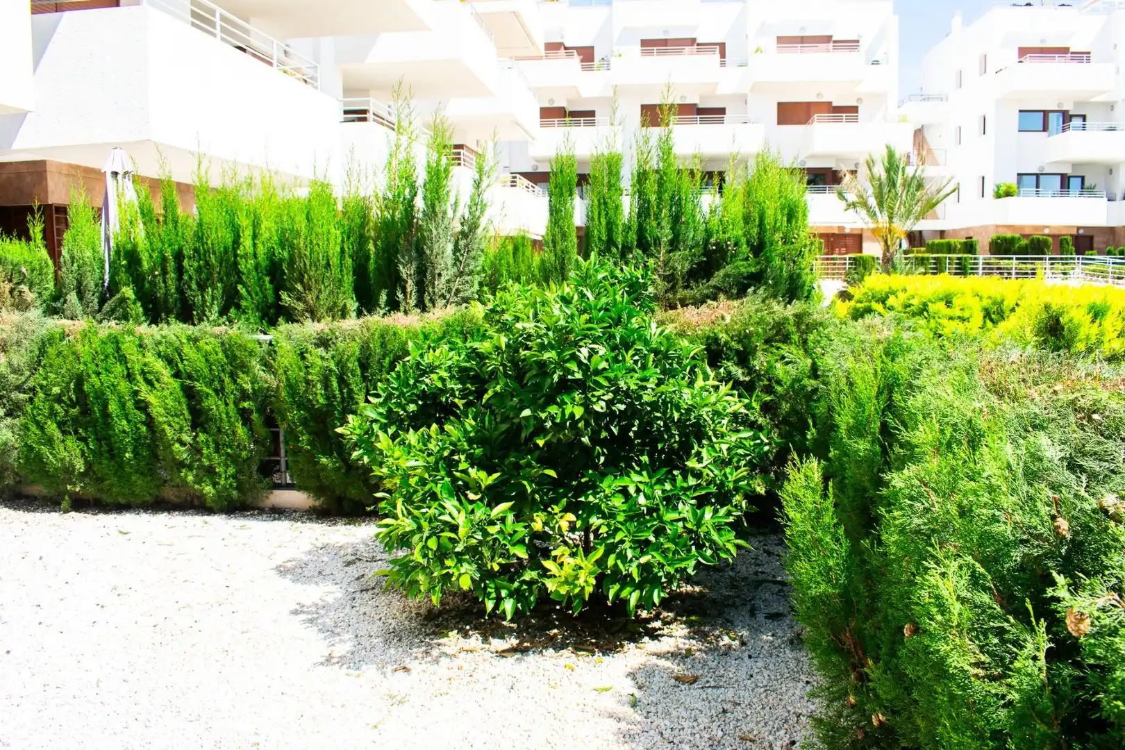 Jardín de Apartamento en venta en Orihuela con Aire acondicionado, Calefacción y Terraza