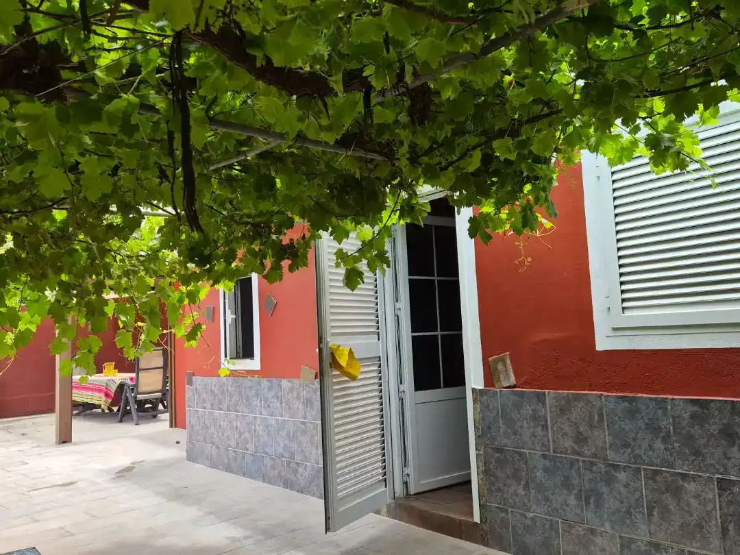 Vista exterior de Planta baixa en venda en Moya (Las Palmas) amb Jardí privat, Parquet i Traster