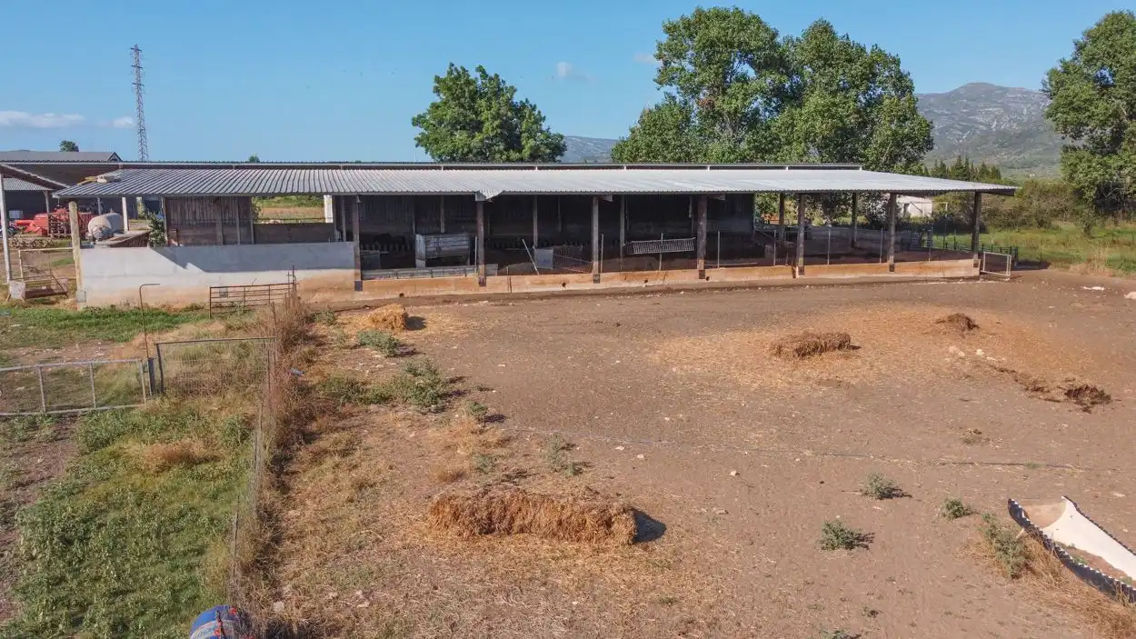 Rural land for sale in Ulldecona, imagen 13