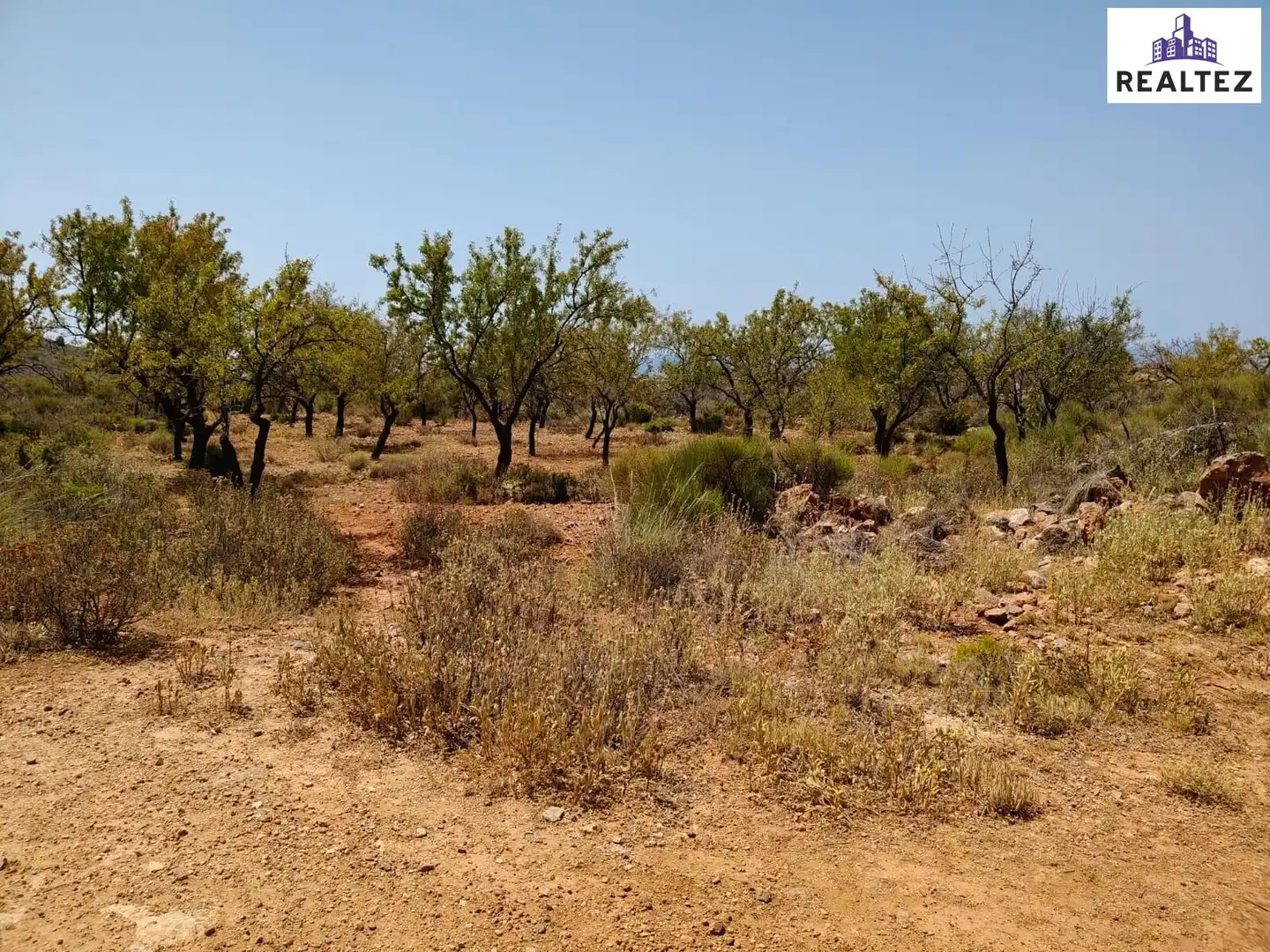 Terrain rustique à vendre à Alcolea, imagen 5