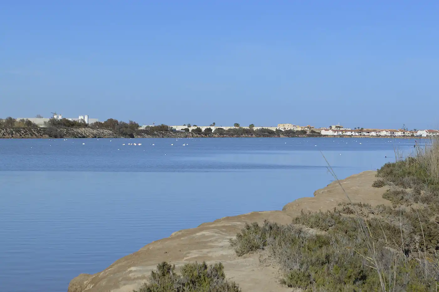 Vista exterior de Casa o chalet en venta en San Pedro del Pinatar con Terraza y Piscina comunitaria