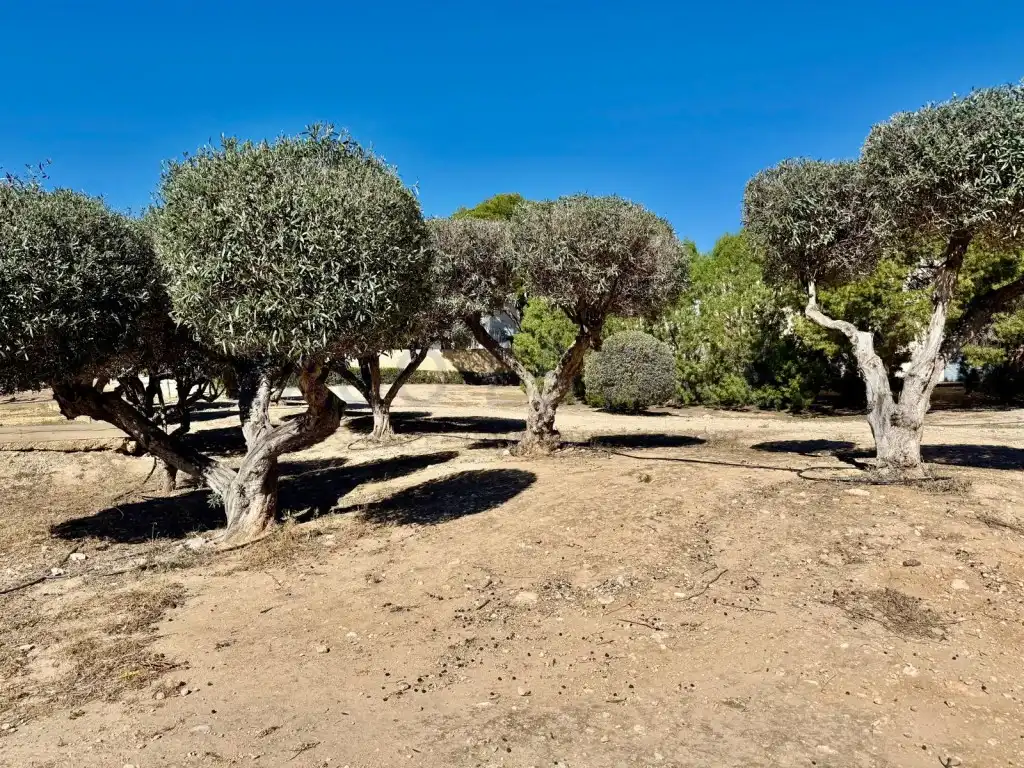 Casa adosada en venta en La Nucia con Jardín privado, Amueblado y Horno