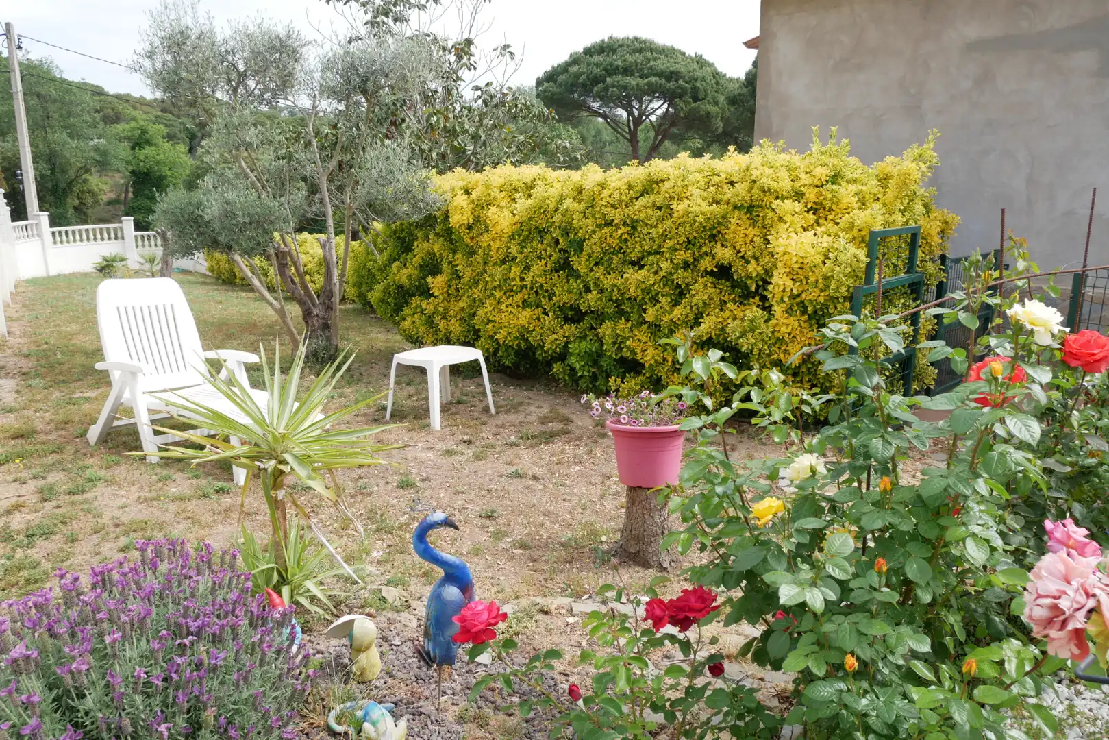 Jardí de Casa o xalet en venda en Maçanet de la Selva amb Calefacció, Jardí privat i Piscina