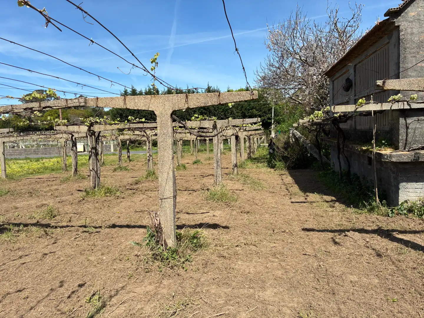 Casa en venda a Rúa souto 2, imagen 32