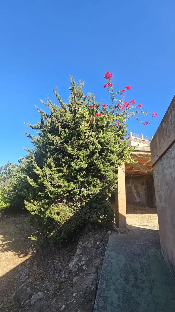 Villa con terrazza in vendita a San Enrique - Guadiaro -  Pueblo Nuevo, imagen 51