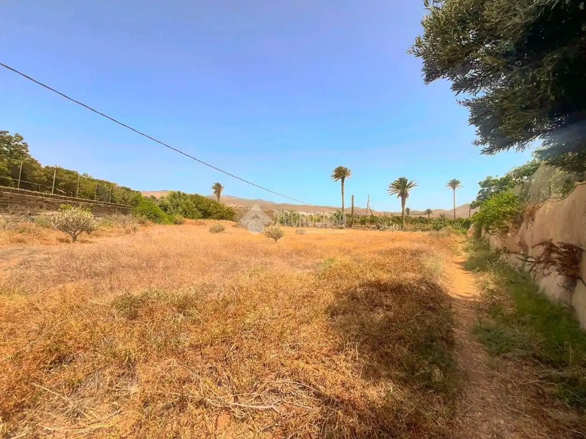 Rural land for sale in Ingenio pueblo, imagen 13