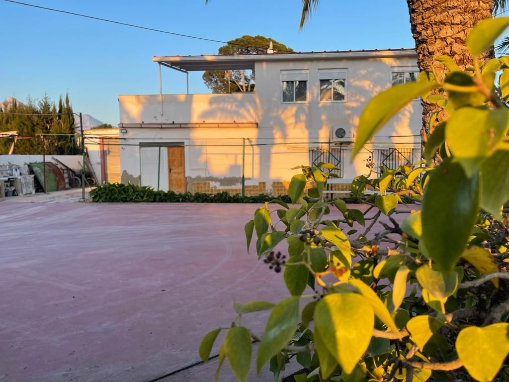 Vista exterior de Casa o xalet en venda en Novelda amb Jardí privat i Piscina