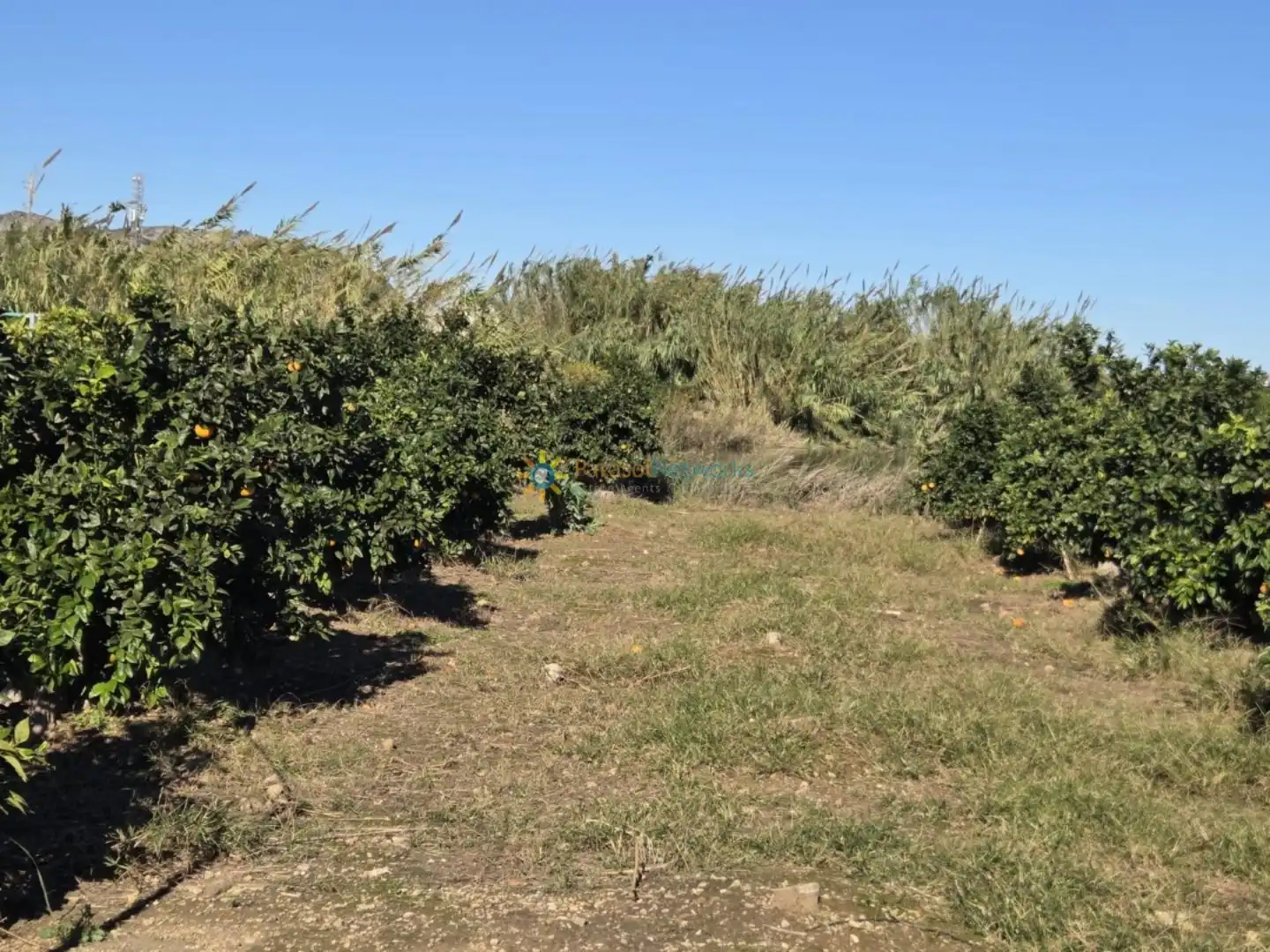 Finca rústica en venta en Xeraco con Jardín privado y Terraza