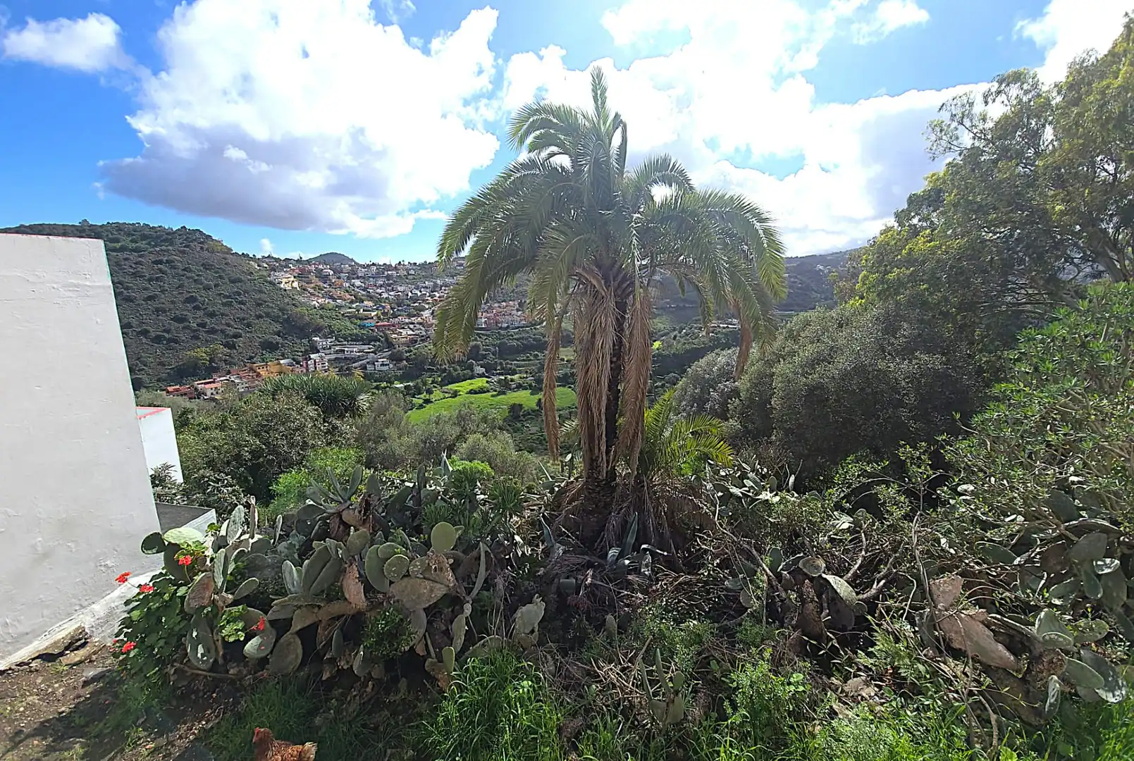 Vista exterior de Residencial en venta en Santa Brígida