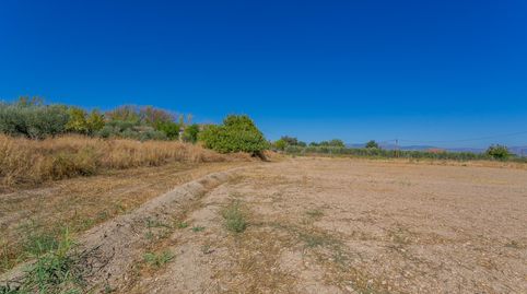 Photo 5 of Residential for sale in Calle Aro, Belicena, Vegas del Genil