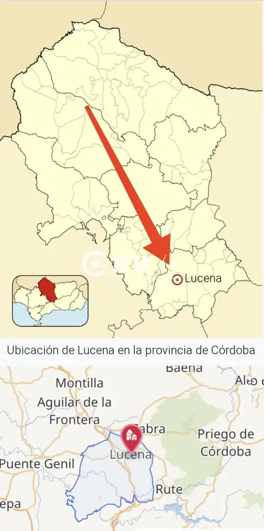 Gewerbefläche zum Verkauf in Federico García Lorca, imagen 12