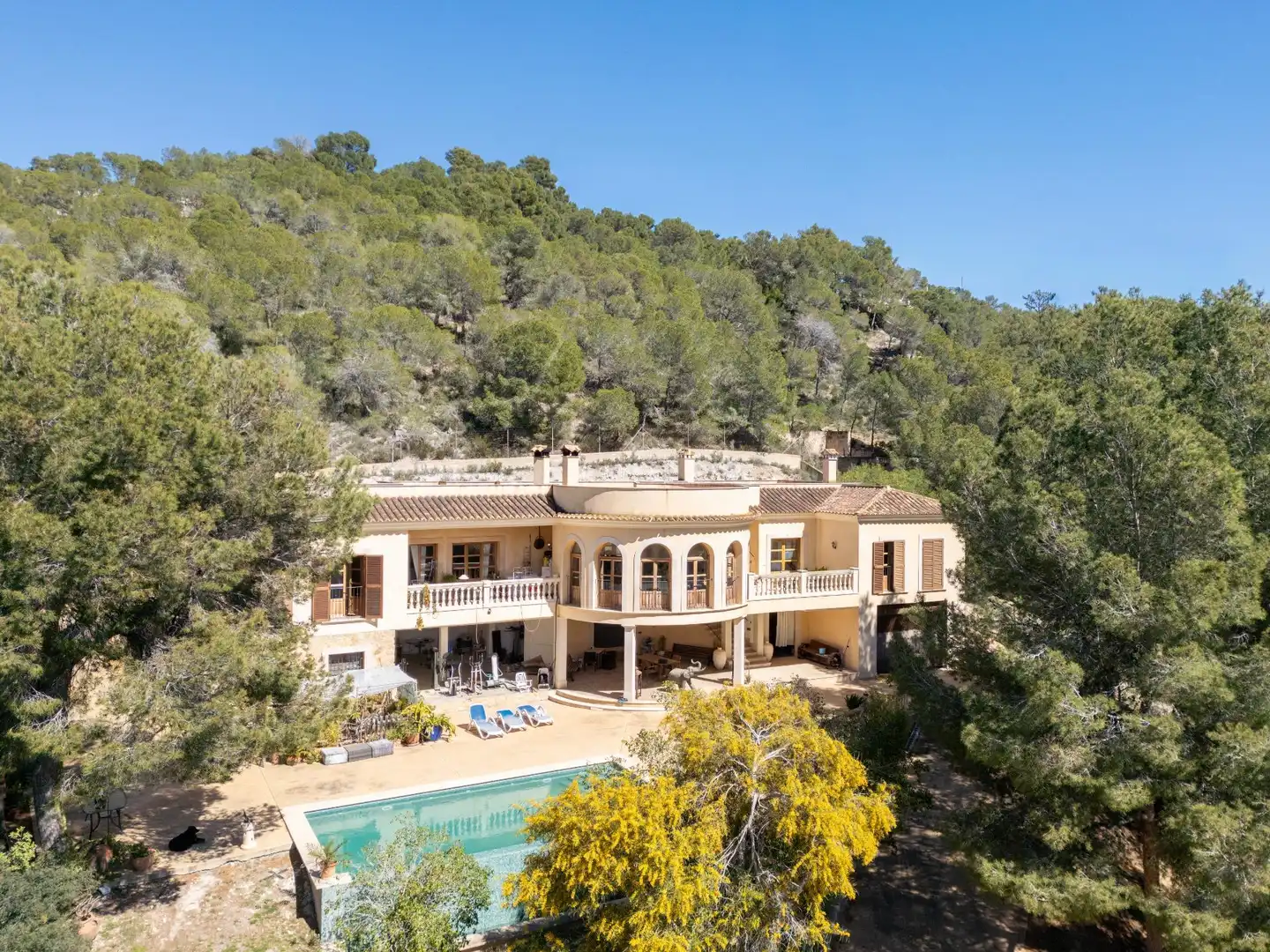 Vista exterior de Casa o xalet en venda en Calvià amb Aire condicionat, Calefacció i Jardí privat