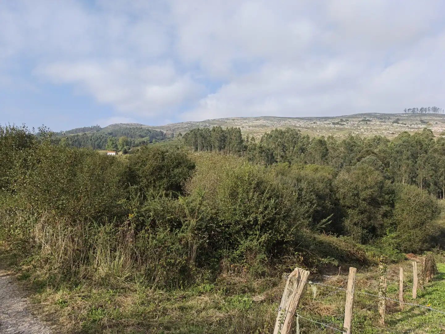 Terreny rústic en venda a Busta La - Las Viñas, imagen 3