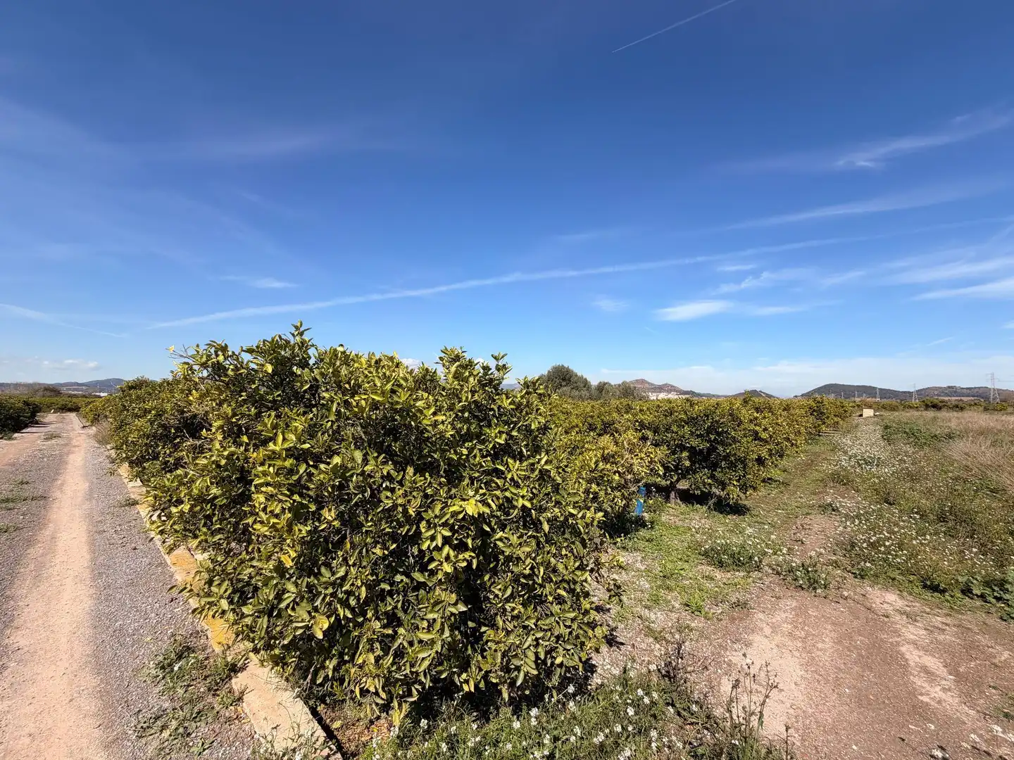 Rural land for sale in Almenara, imagen 4