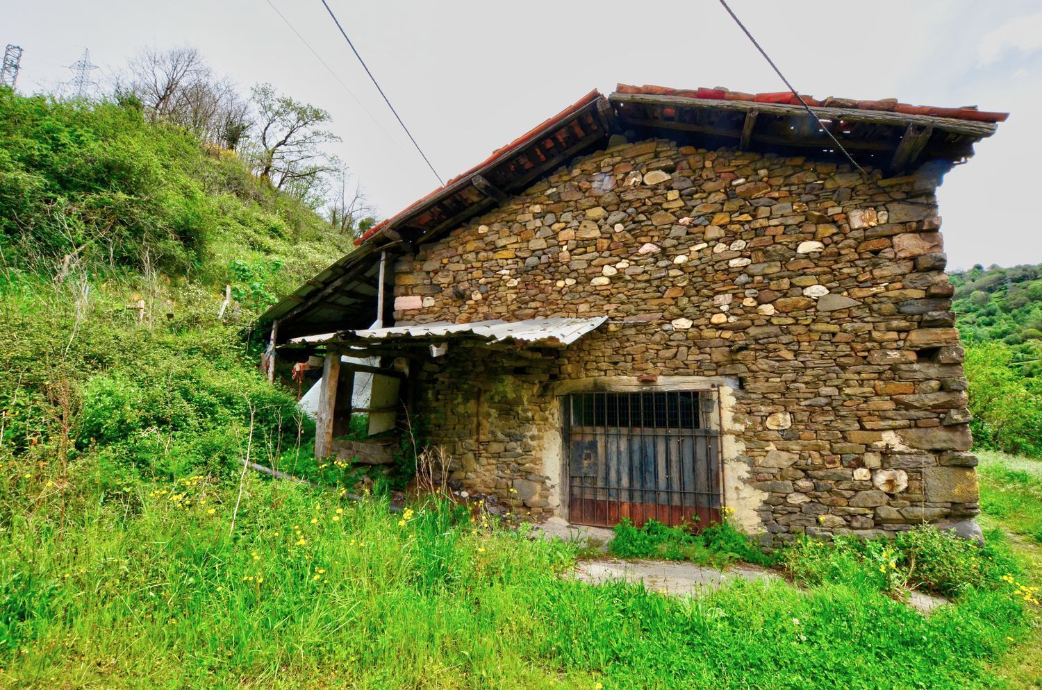 Exterior view of House or chalet for sale in Mieres (Asturias)  with Swimming Pool