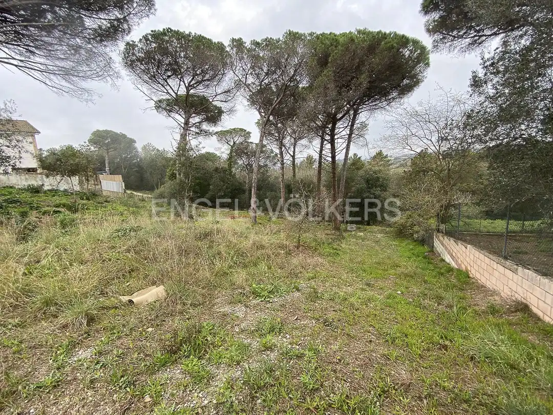 Terreno residencial en venta en Mas Mora - Sant Daniel, imagen 2