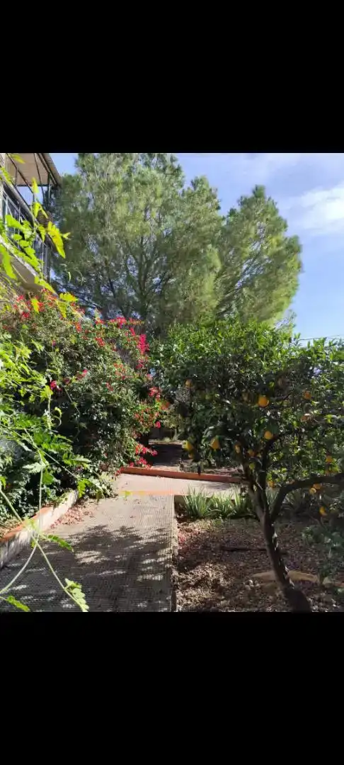 Jardín de Casa o chalet en venta en Alcalá de Guadaira con Aire acondicionado