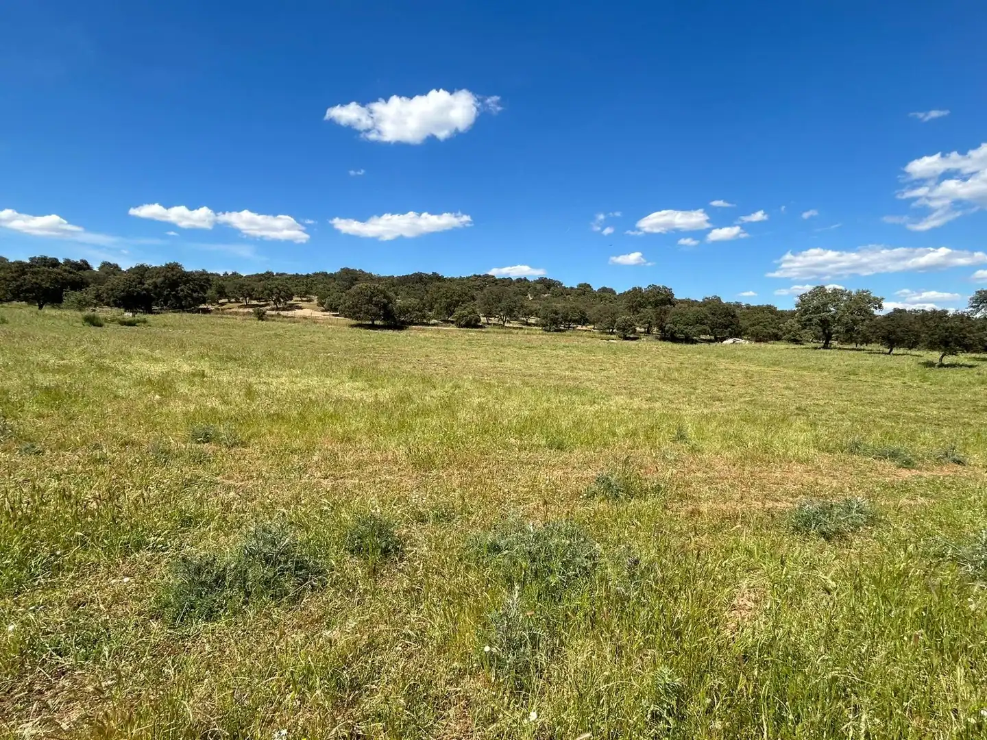 Finca rústica en venta en Alanís