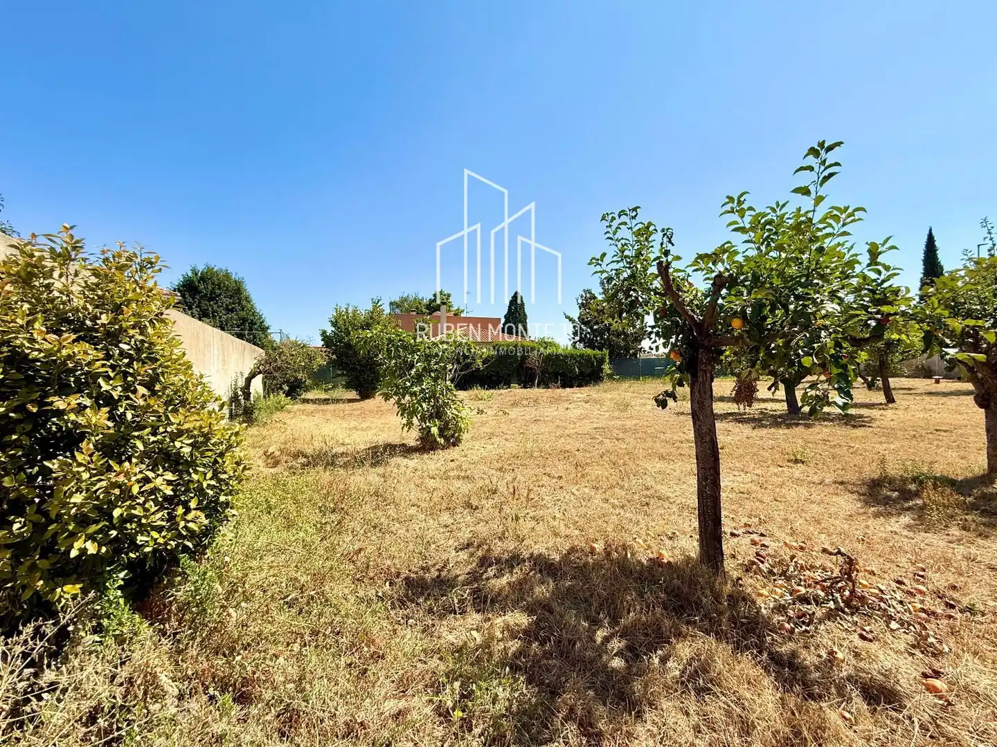 Rural land for sale in Cañaveral, imagen 11