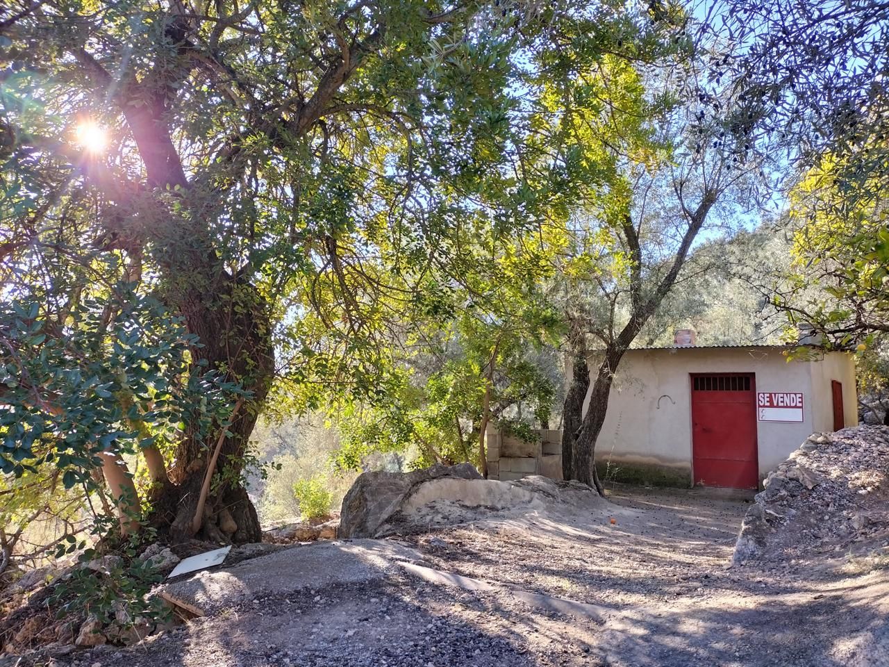 Vista exterior de Finca rústica en venta en El Pinar