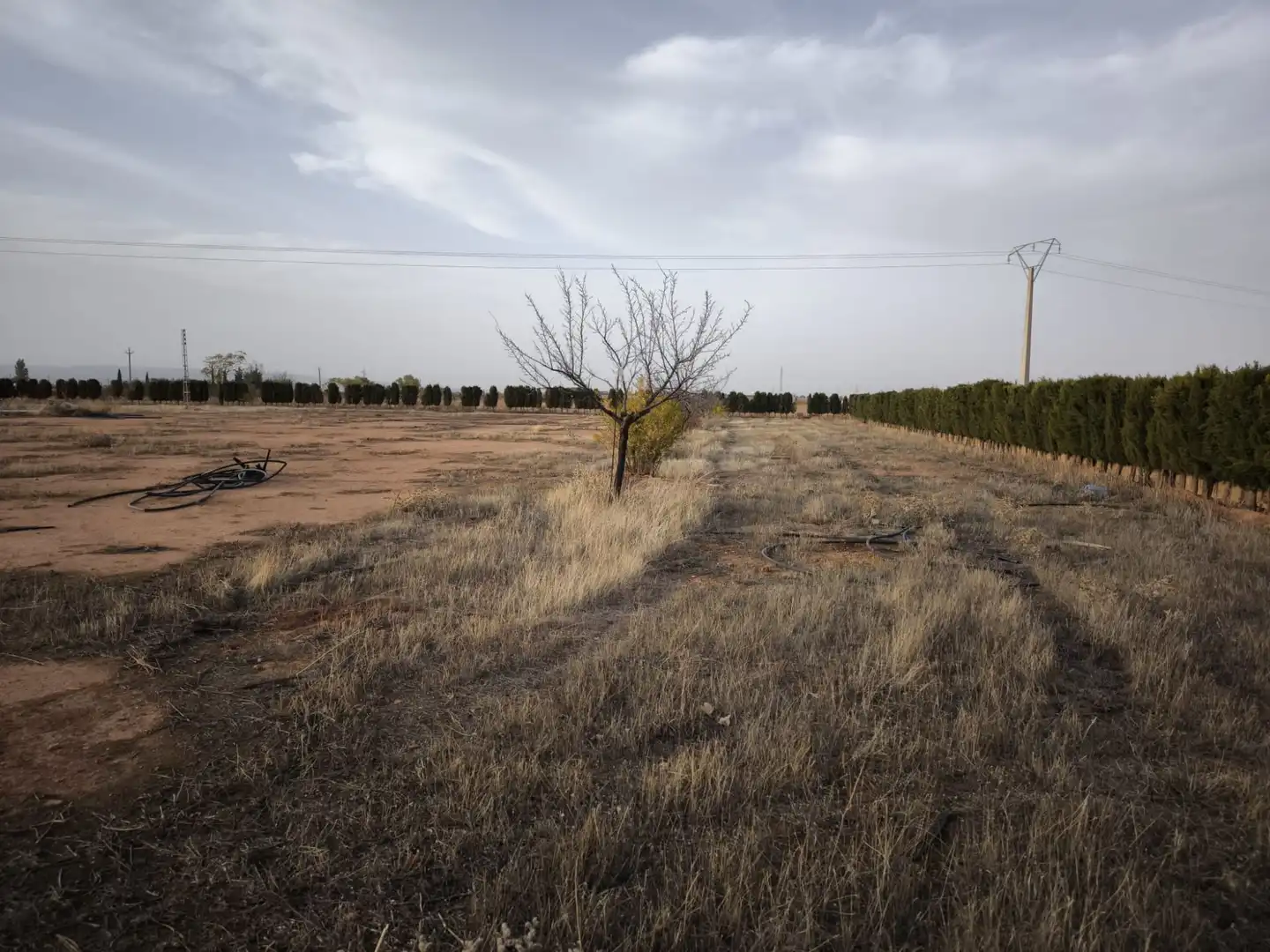 Casa rústica en venda a Valdepeñas, imagen 3
