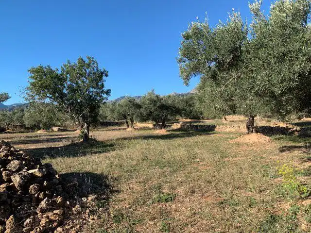 Landhaus zum Verkauf in Xerta, imagen 10