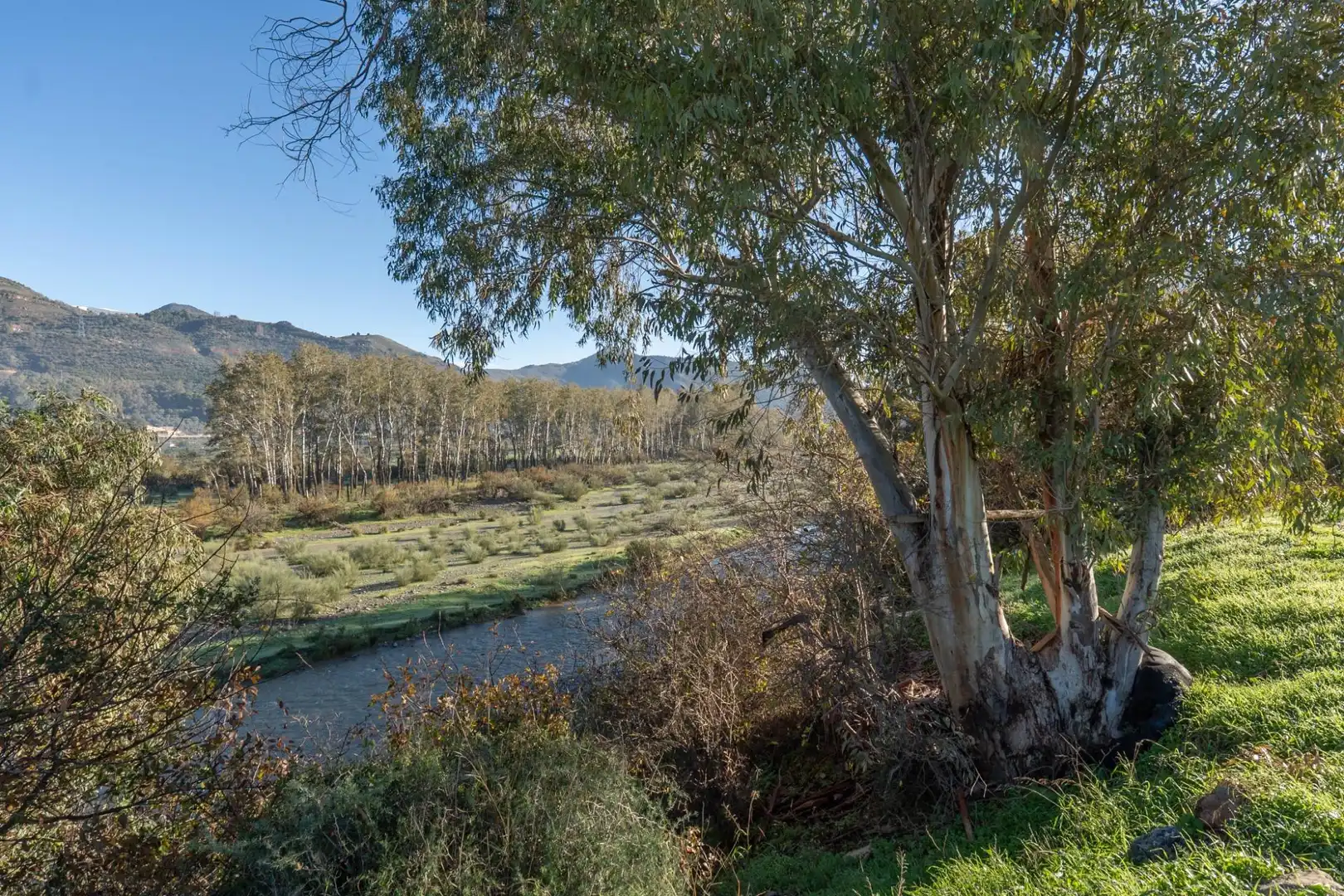 Rural land for sale in Órgiva, imagen 15