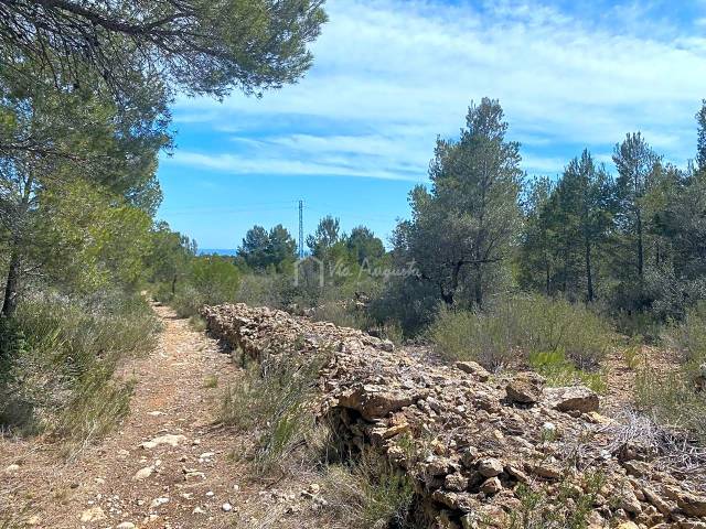 Terreno residencial en Venta en Carrratillana en Roques Daurades - L'Estany