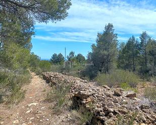 Residencial en venda a Carrratillana, Roques Daurades - L'Estany