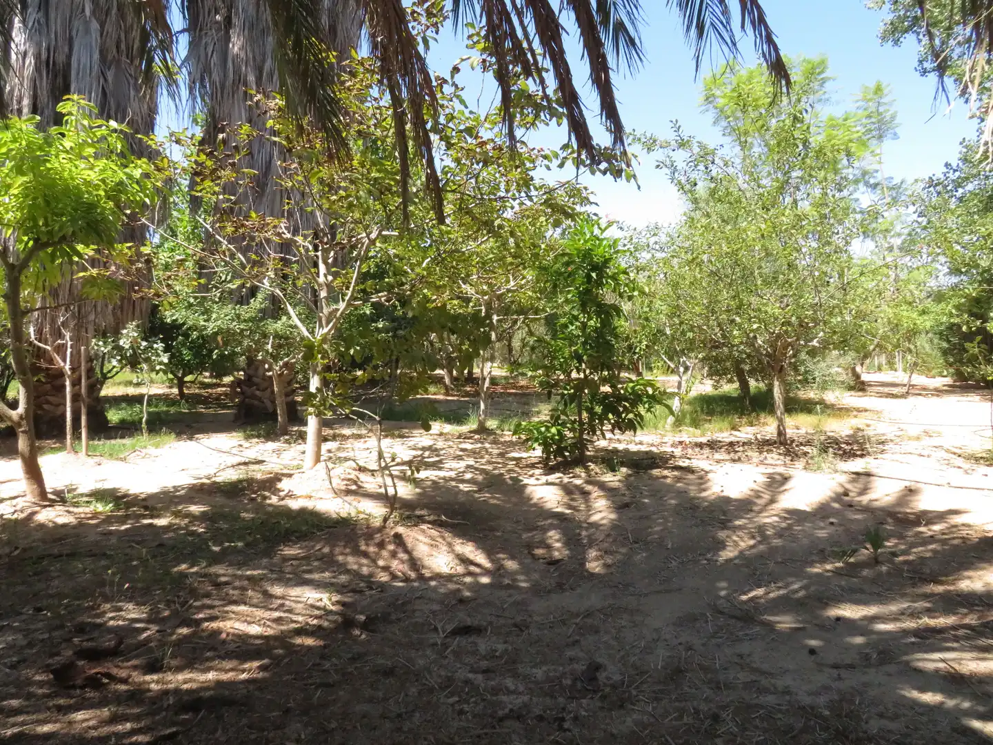 Casa rústica amb piscina en venda a Pasaje los Pepeles, imagen 35