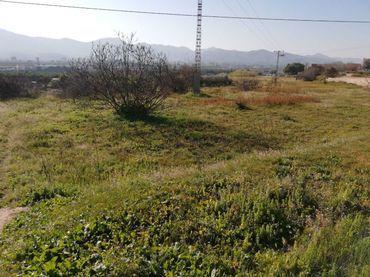 Terreno rustico in vendita a PL 17 Nº 28