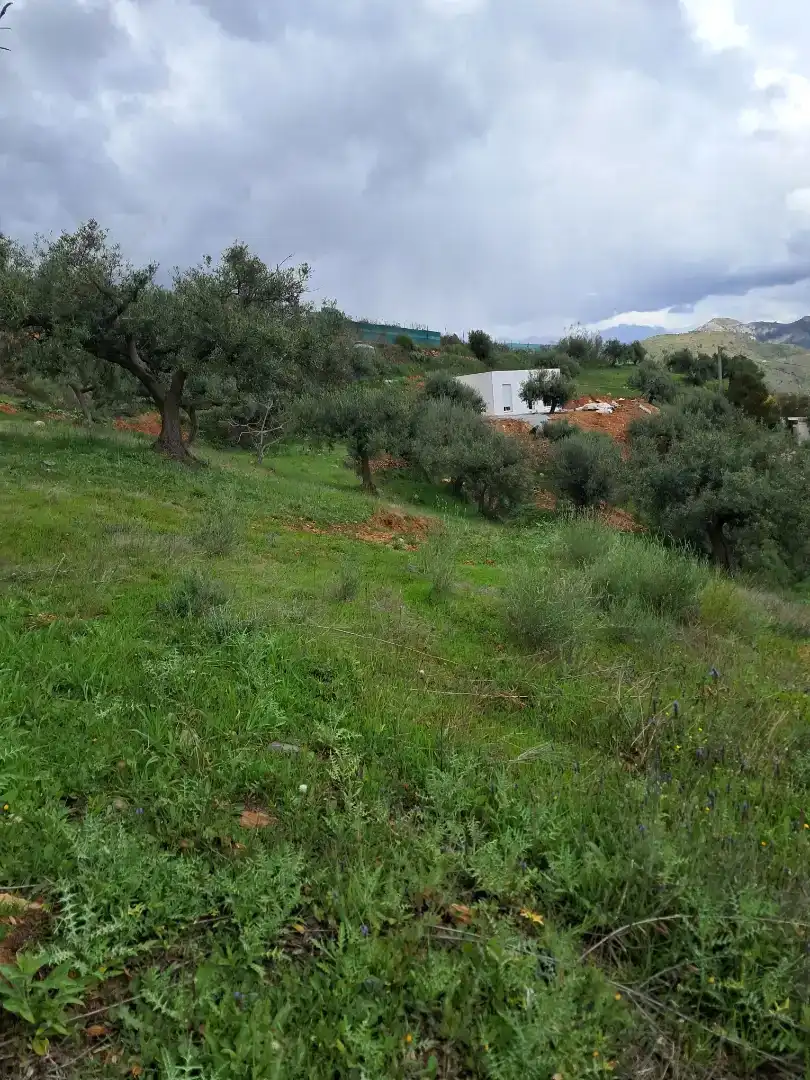 Finca rústica en venda en Almuñécar amb Traster, Moblat i Forn