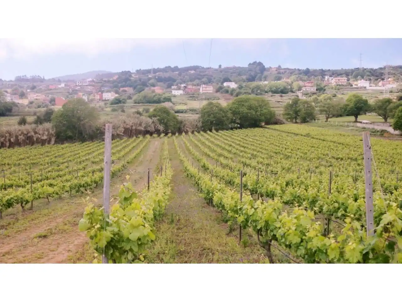 Finca rústica en venta en El Sauzal con Jardín privado