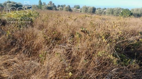 Foto 4 de Terreno en venta en Almonte ciudad, Almonte