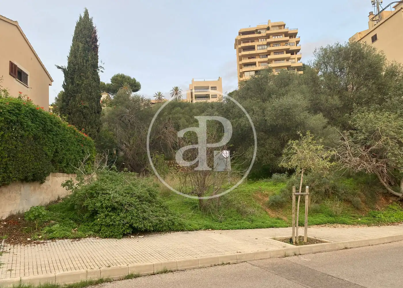 Residential zum Verkauf in  Palma de Mallorca