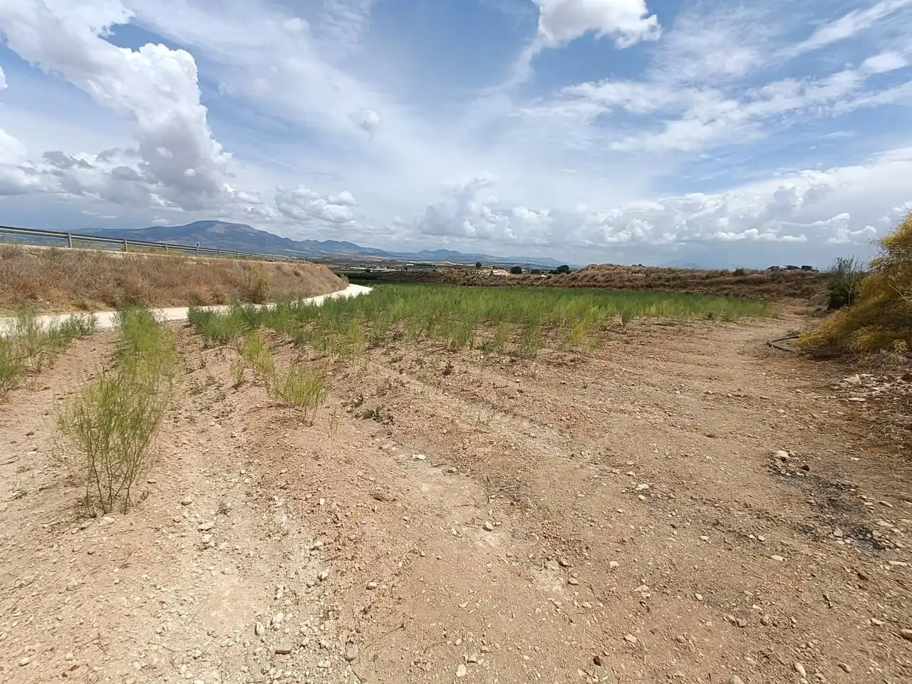 Rural land for sale in Moraleda de Zafayona, imagen 13
