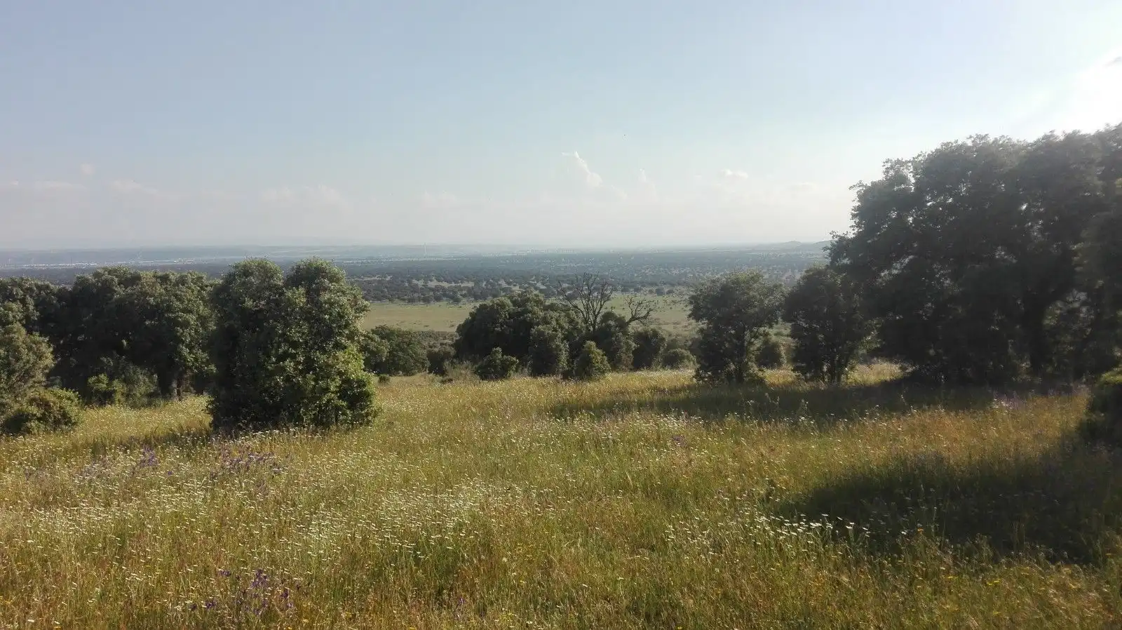 Terreni e lotti in vendita a San Román de los Montes, imagen 2