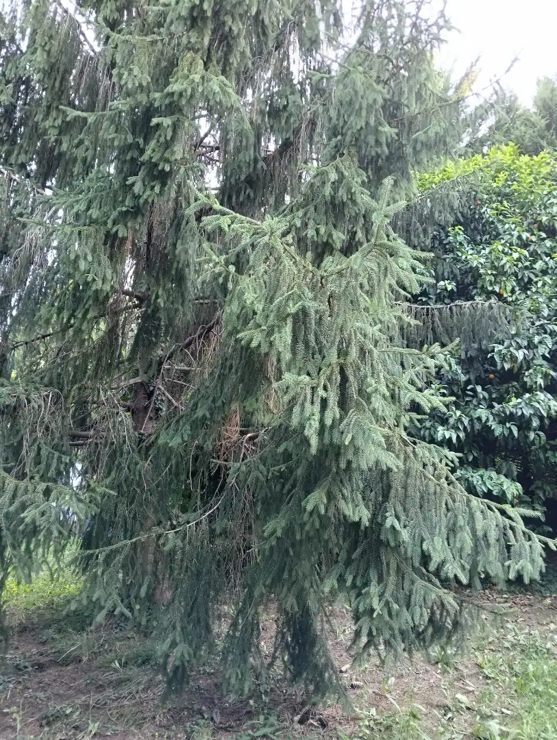Vista exterior de Finca rústica en venda en Barakaldo  amb Calefacció, Jardí privat i Moblat