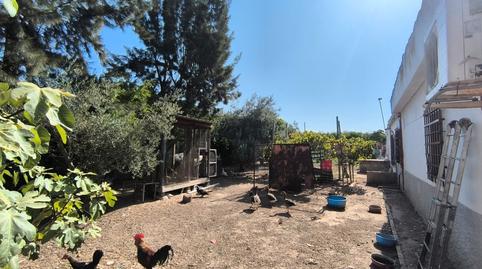 Photo 4 of Country house for sale in Diseminado Diseminados, 621, Pedanías Norte, Sevilla