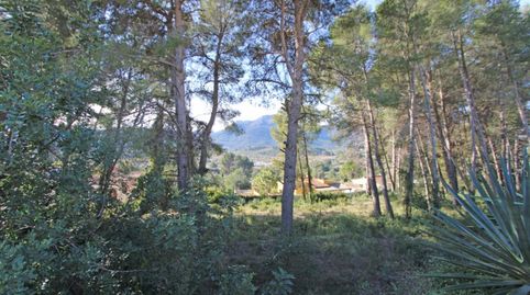 PARCELA EN ALCALALI ALICANTE, imatge 2
