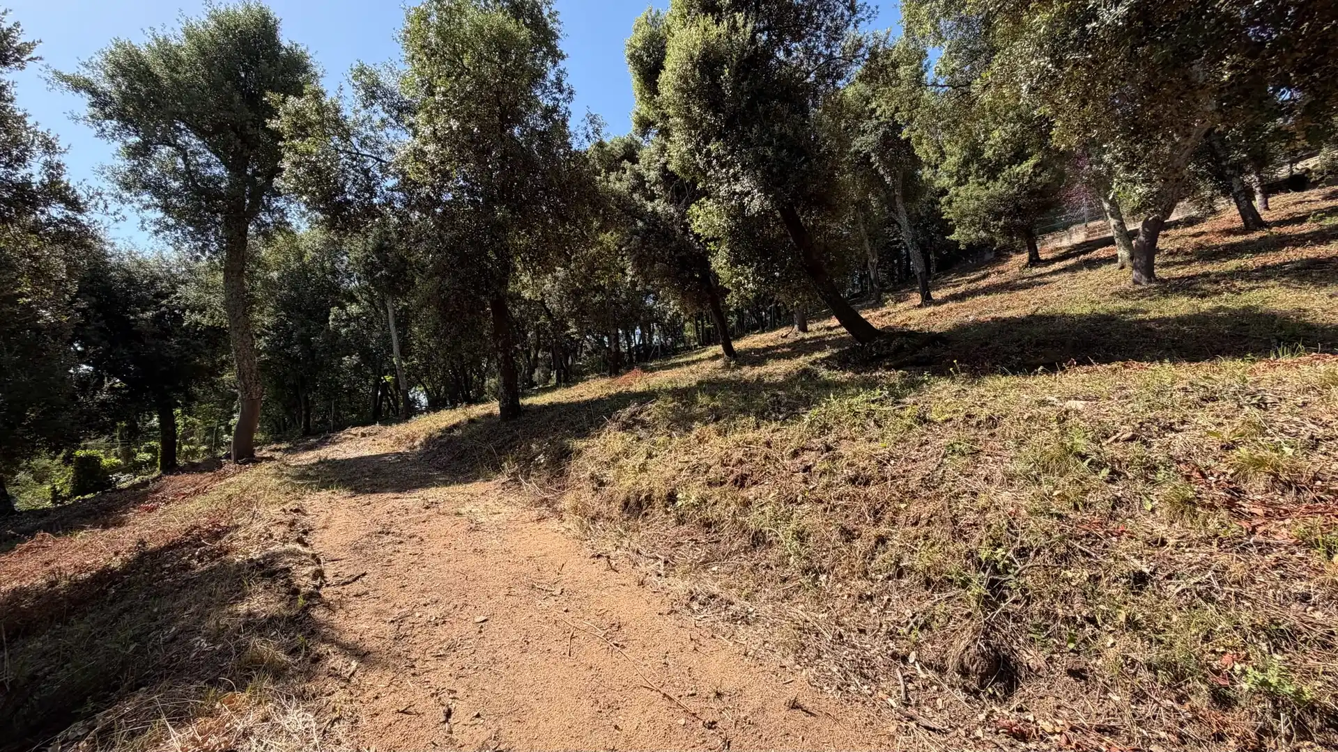 Terreno residencial en venta en Arbúcies, imagen 2