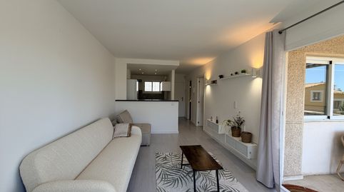 Photo 4 of Apartments for rent in Portals Nous, Calvià