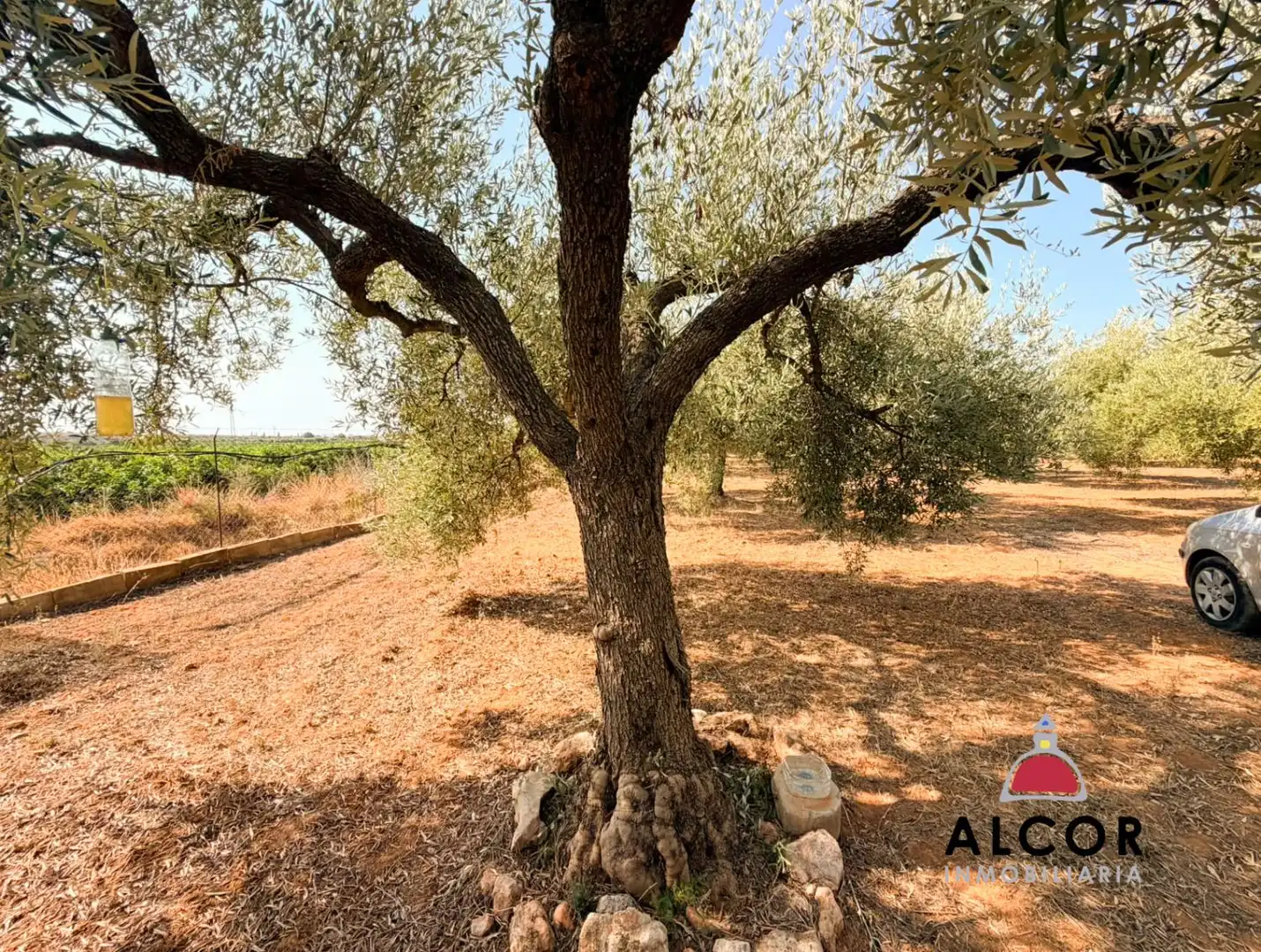 Finca rústica en venta en Peñíscola / Peníscola