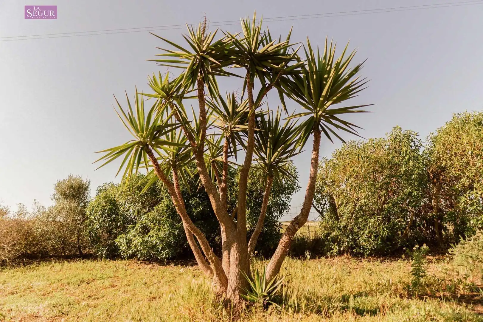 Xalet amb jardí en venda a El Palmar, imagen 41